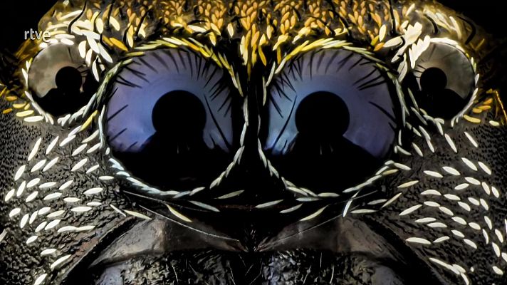 Objetivo Planeta - Fotografía de lo invisible