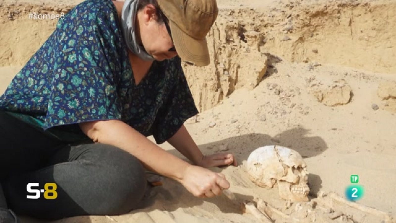 Somos 8 - 03/11/2023 | Magazine de la actualidad canaria - Somos 8 | Ver