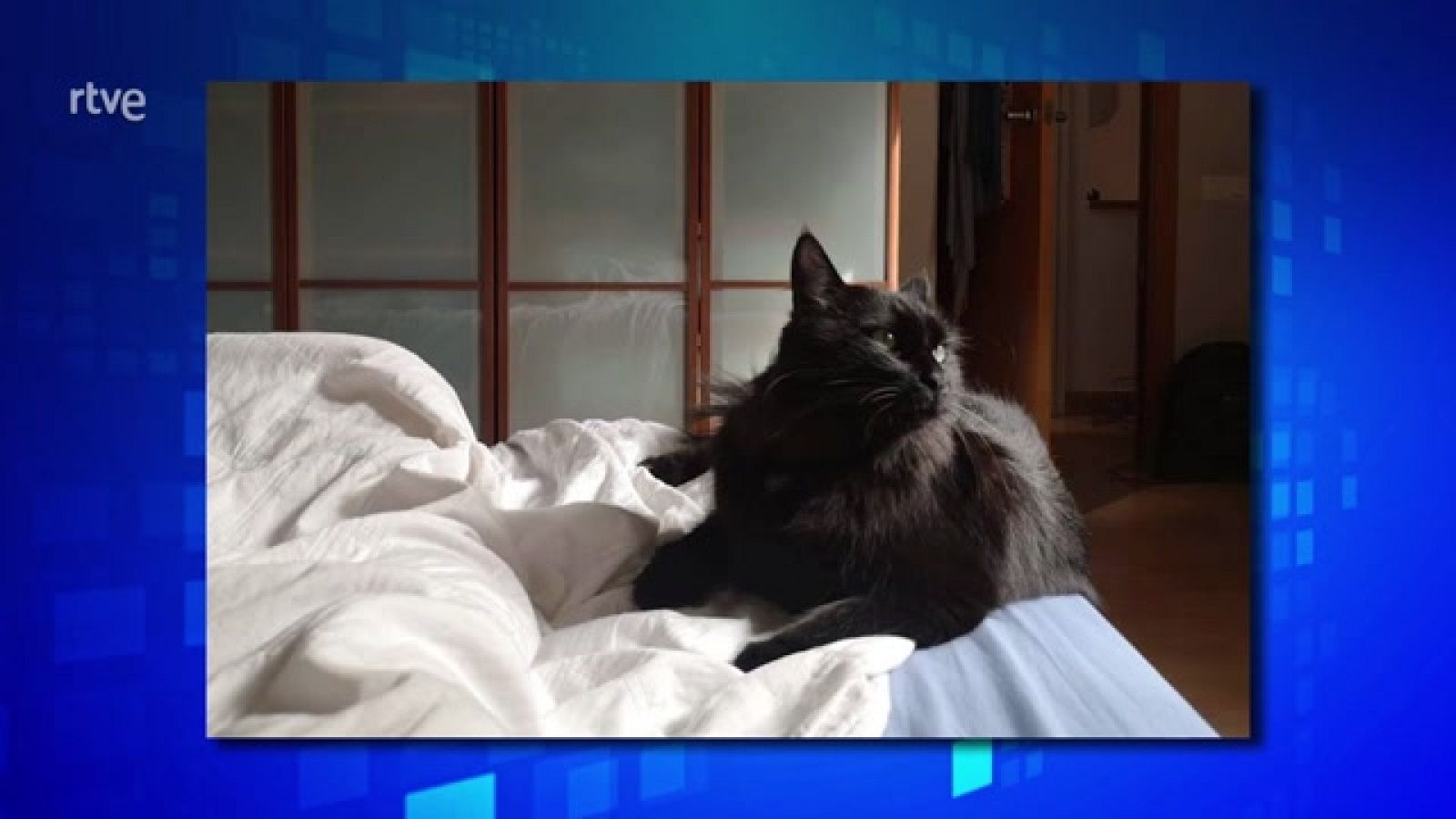 Saber y ganar. Edición de fin de semana - 05/11/23 - ver ahora