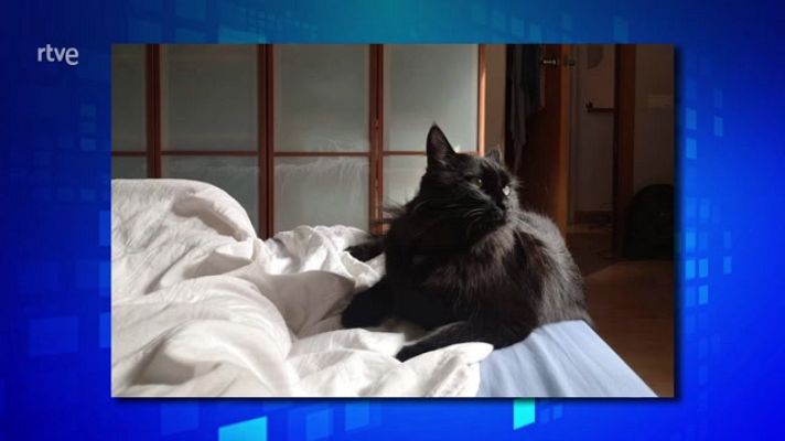 Saber y ganar - Saber y ganar. Edición de fin de semana - 05/11/23