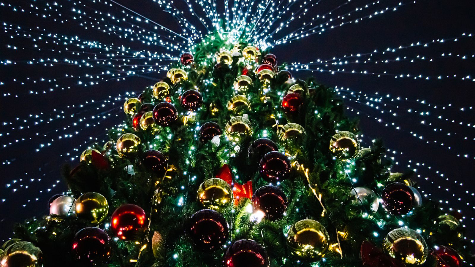 Badalona, Vigo y Cartes compiten por tener el árbol de Navidad más alto | Ver