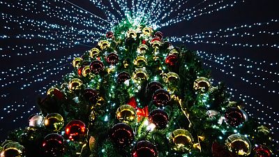 Badalona, Vigo y Cartes compiten por tener el �rbol de Navidad m�s alto | Ver