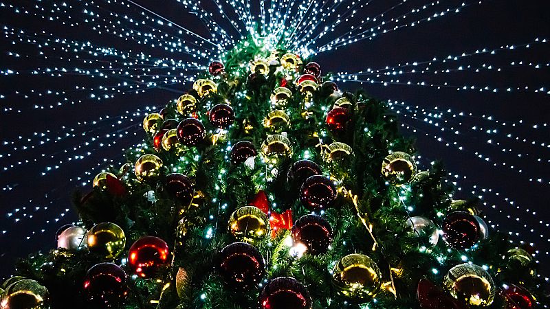 Badalona, Vigo y Cartes compiten por tener el árbol de Navidad más alto | Ver