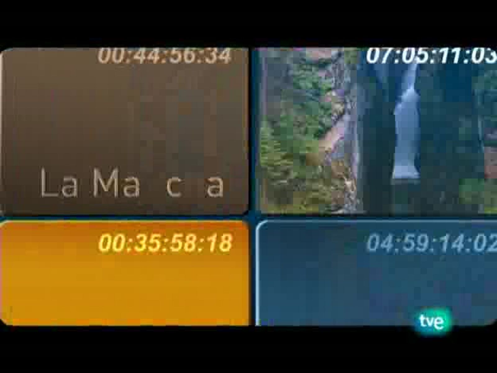España en comunidad - 21/02/10 - España en comunidad | Ver