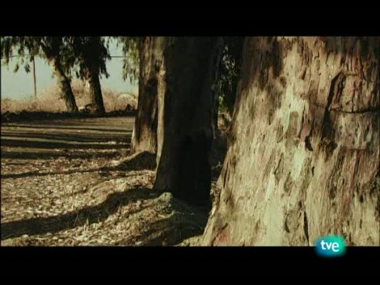 Nuestros caminos a Santiago - Nuestros caminos a Santiago