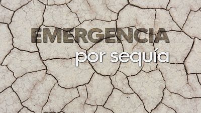C�rdoba en emergencia por sequ�a - Ver ahora