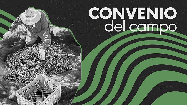 Noticias Andalucía - Subida salarial del campo en Jaén