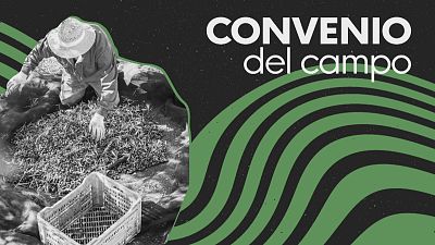 Subida salarial del campo en Ja�n - Ver ahora