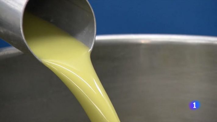 L'Informatiu - Collita d'oli marcada per la sequera: menys quantitat i més cara