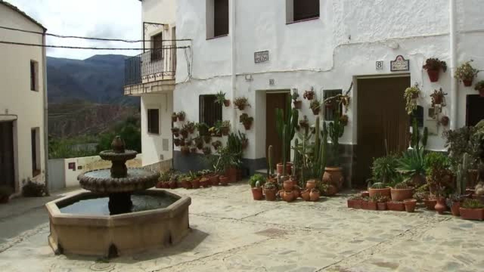 Escarabajo Verde - La receta de almócita - Avance