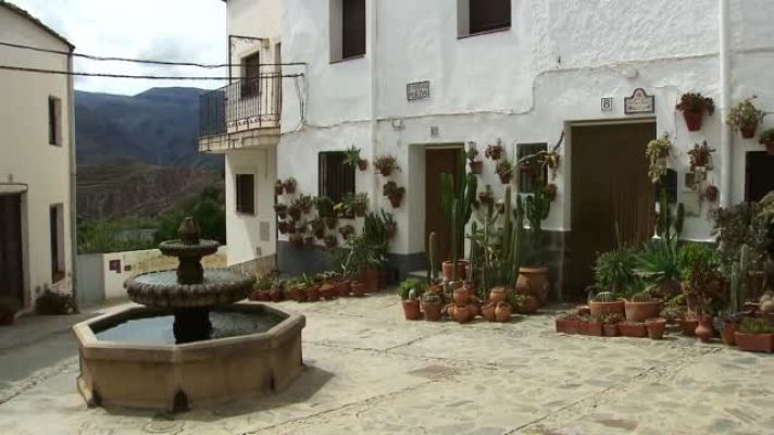 El escarabajo verde - La receta de almócita - Avance