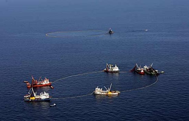  - Veto al atún rojo