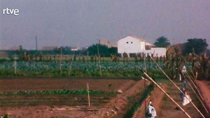 Usted, por ejemplo - El tercer cinturón de Valencia