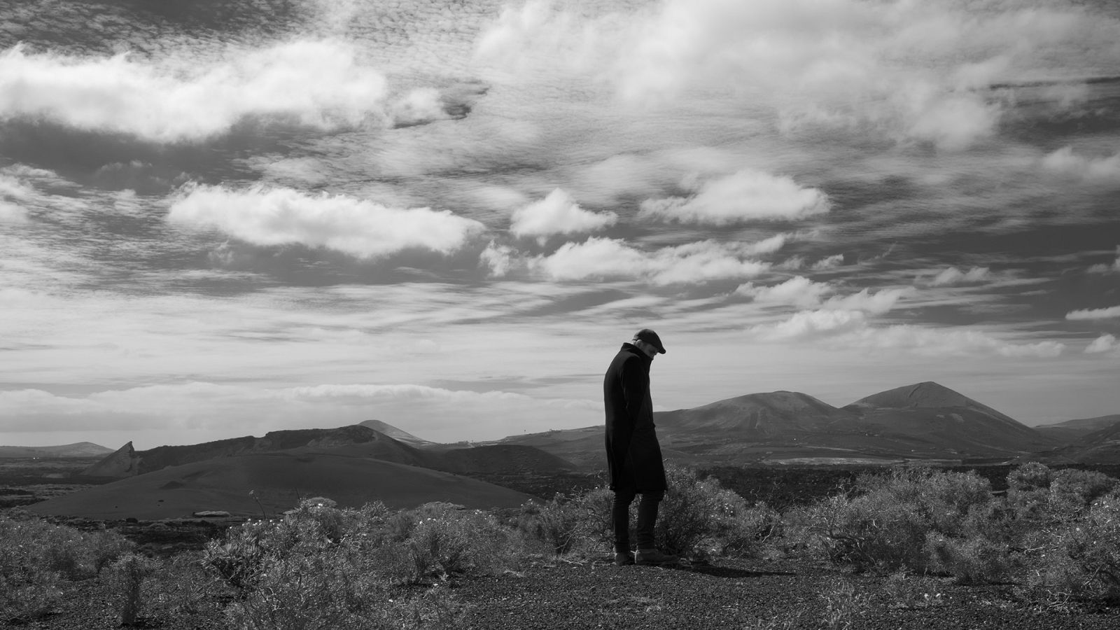 Metrópolis - Miguel Morales - ver ahora