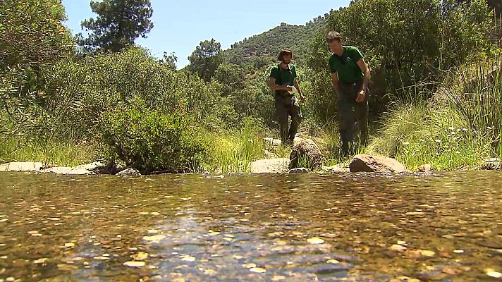 Jara y sedal - Aplicación del fototrampeo