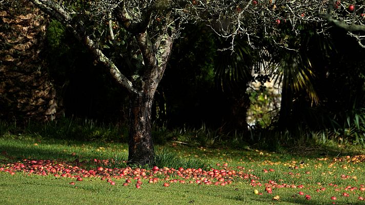 El tiempo - Temperaturas al alza de forma generalizada y lluvias en el noroeste