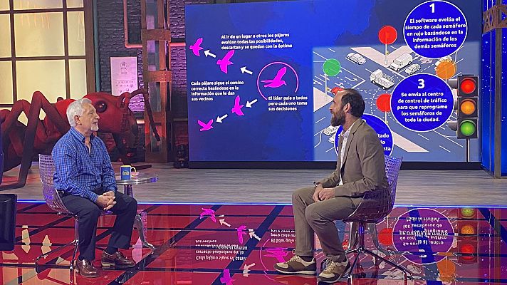 Órbita Laika - El comportamiento animal, una inspiración tecnológica