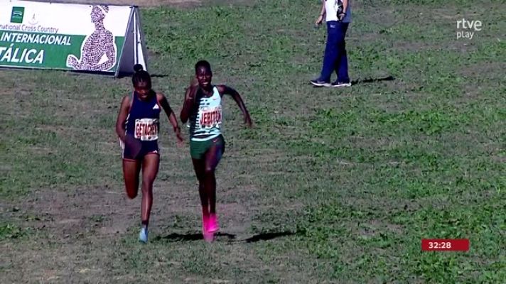 Cross - ¡Se para antes de tiempo!: El despiste de Jebitok que casi le cuesta la final de la Cross Itálica 2023