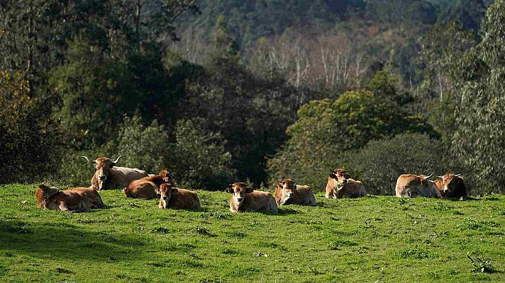 El tiempo - Tiempo anticiclónico y cielos despejados en la mayoría del país, con nubes en el noroeste