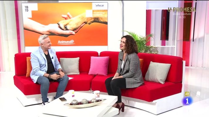 Cerca de ti - Cerca de ti - 14/11/2023