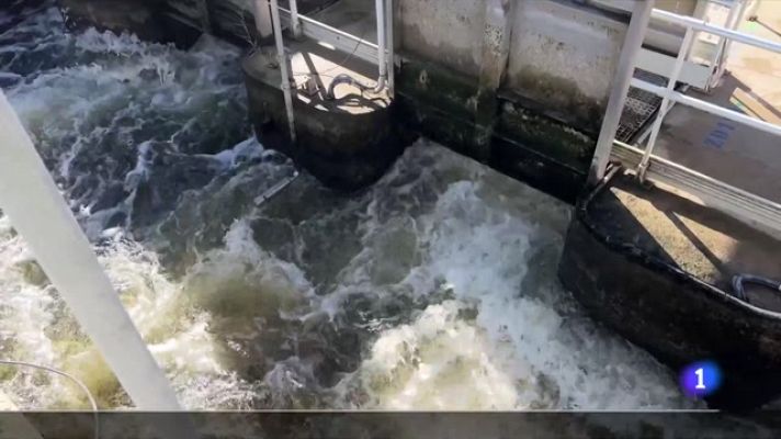 L'Informatiu - L'Informatiu 2 - 14/11/2023