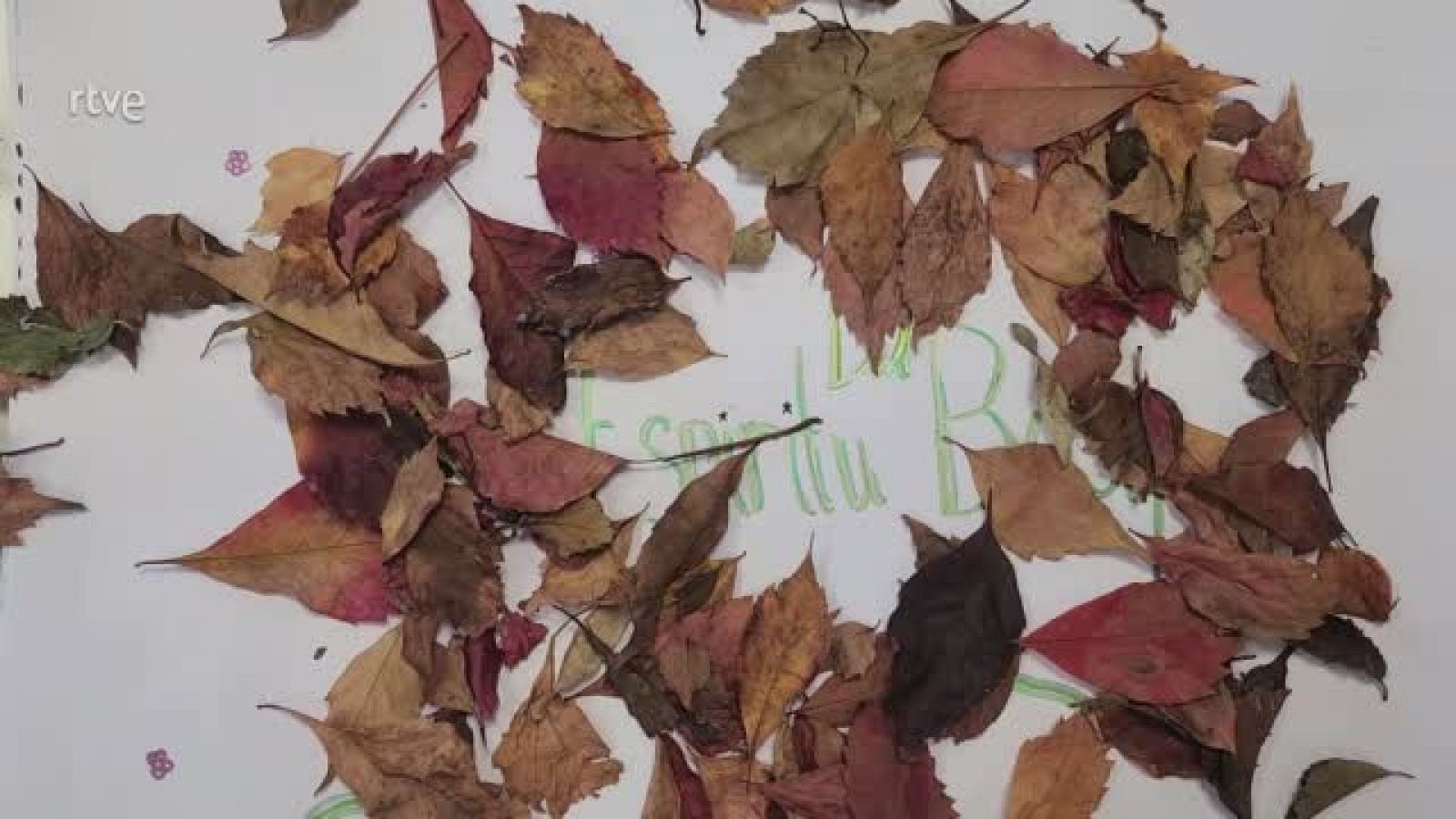 Maxwell School 5º, (Madrid) - El Espíritu del Bosque