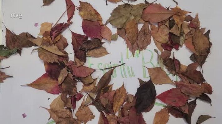  - Maxwell School 5º, (Madrid) - El Espíritu del Bosque