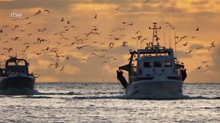 La aventura del Saber - Proyecto Math4fish