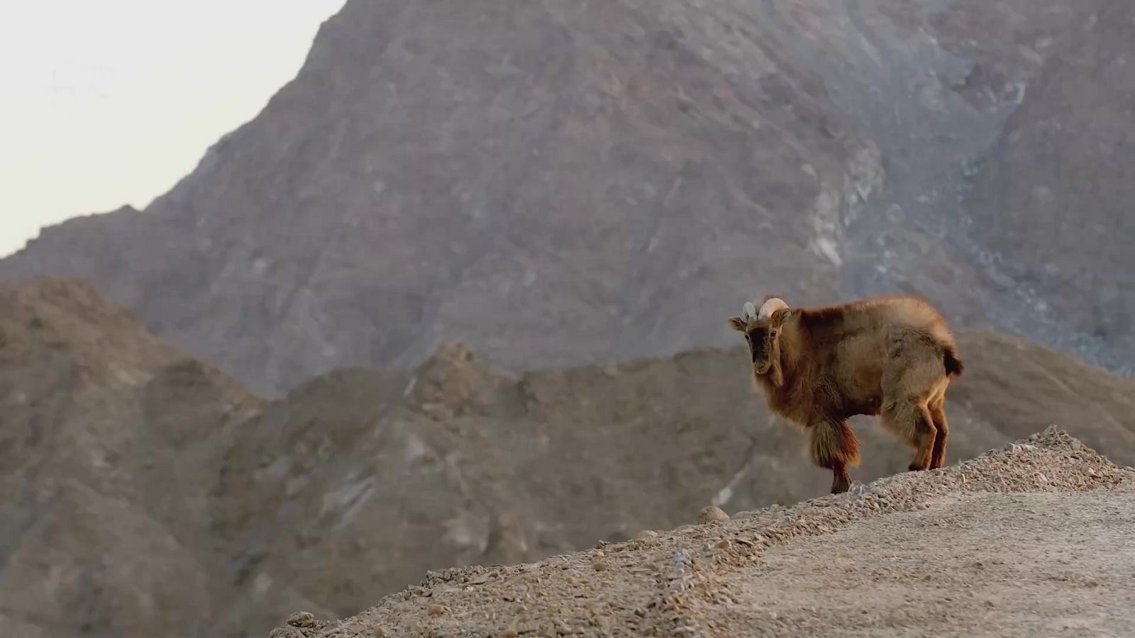 Del amanecer al crepúsculo - Episodio 8: Arabia, el reino del sol - ver ahora