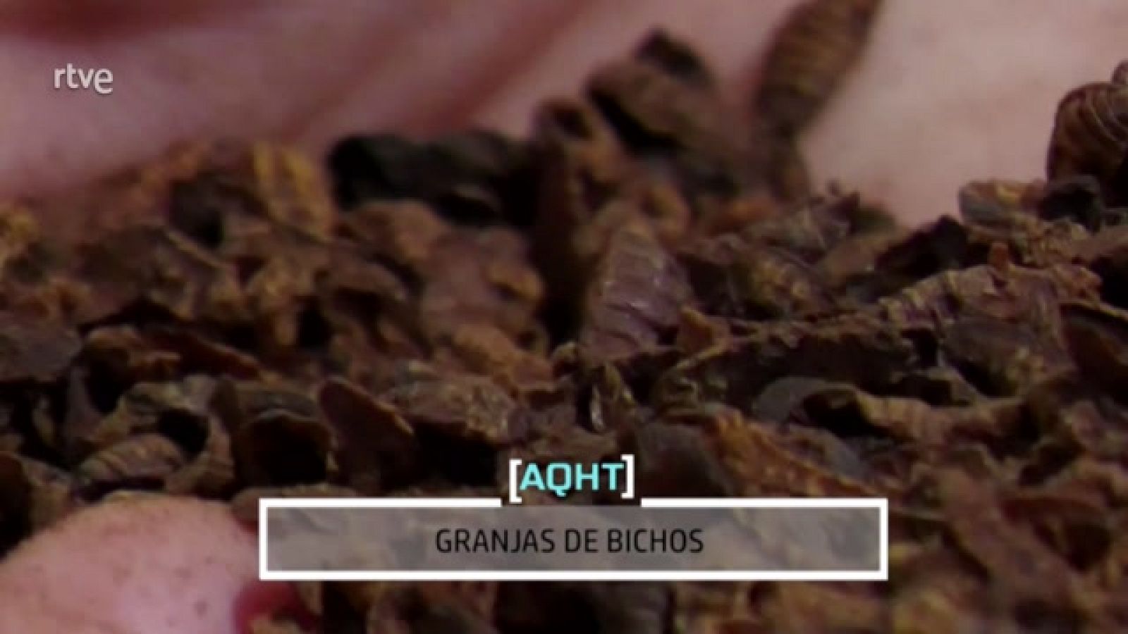 AQUÍ HAY TRABAJO - Granjas de bichos - ver ahora