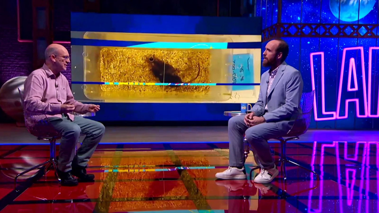 ¿Existen las feromonas humanas?