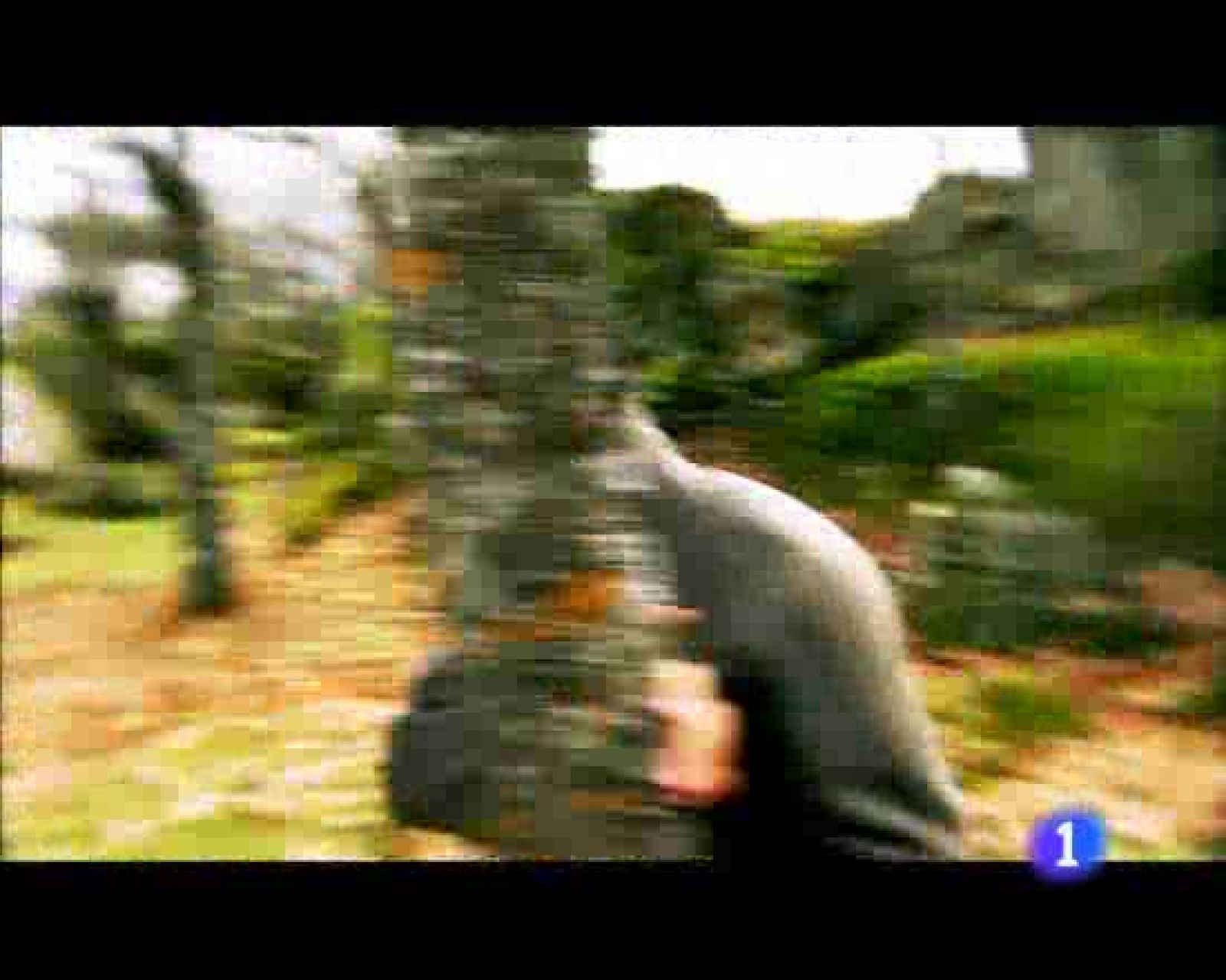 La hora de José Mota - El último superviviente - La hora de José Mota | Ver