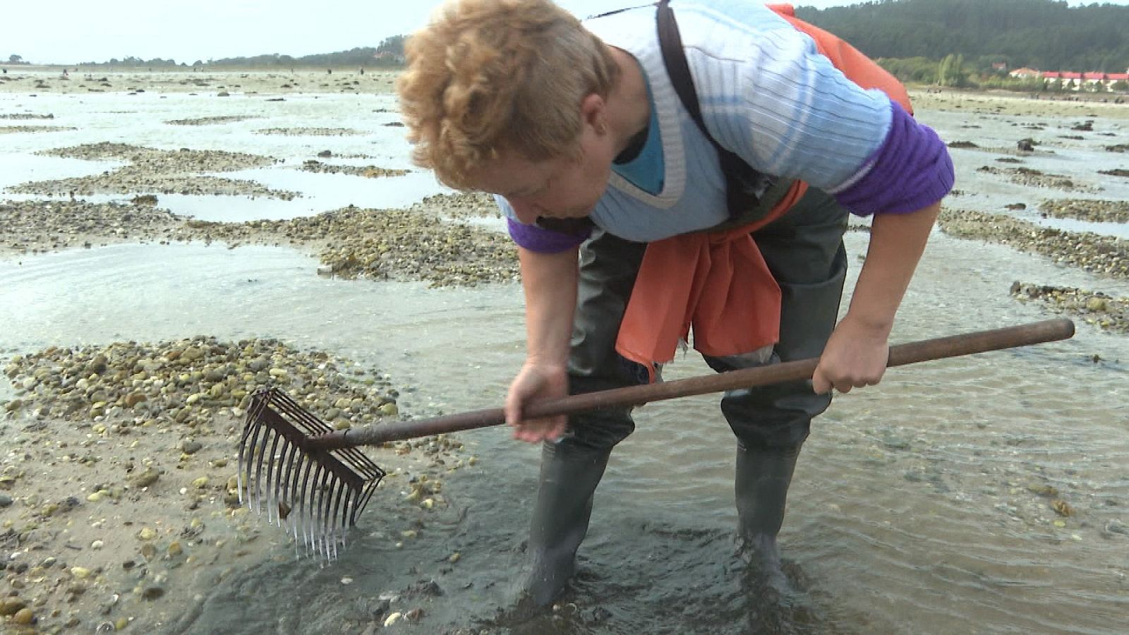 Repor - Del toxo a A Toxa - ver ahora