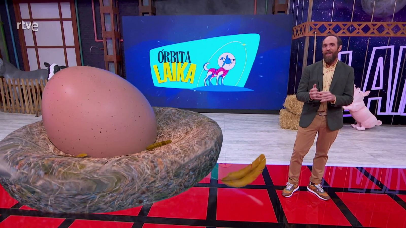 ¿Cómo se forma un huevo dentro de una gallina?, con Eduardo Sáenz de Cabezón