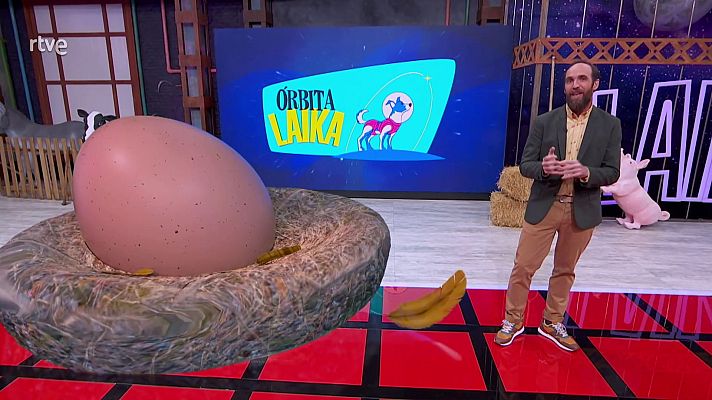 Órbita Laika - Eduardo Sáenz de Cabezón - ¿Cómo se forma un huevo?