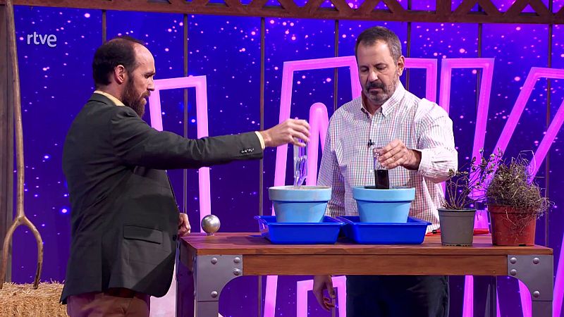 Meteorología con José Miguel Viñas - Estrés Vegetal