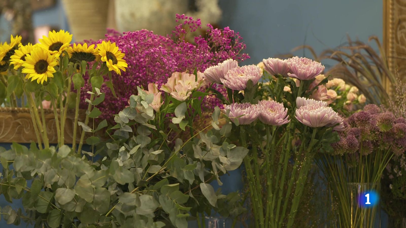 Desafío Digital - Entre flores y followers - Ver ahora