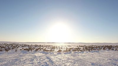 El oasis del Ártico