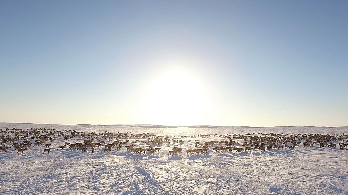 Somos Documentales - El oasis del Ártico