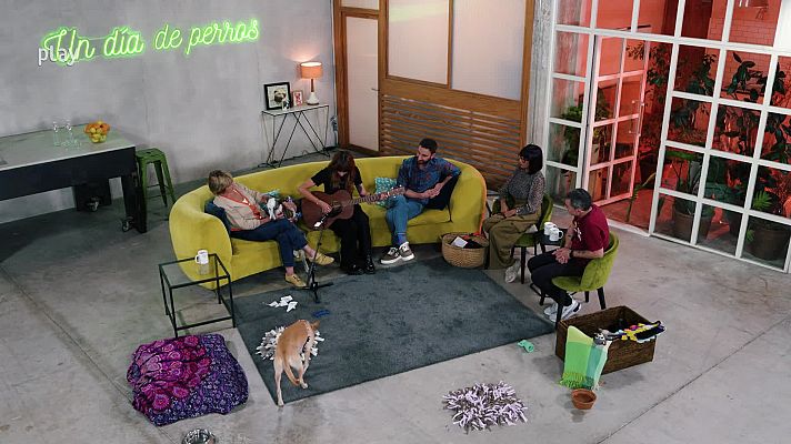  - Así es la canción que Chica sobresalto regala a Dani Rovira para 'Un día de perros'
