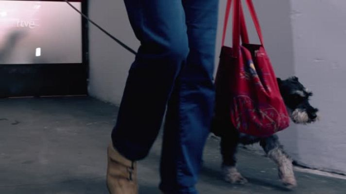 Un día de perros - Mercedes Milá