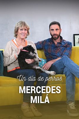 Un día de perros - Mercedes Milá