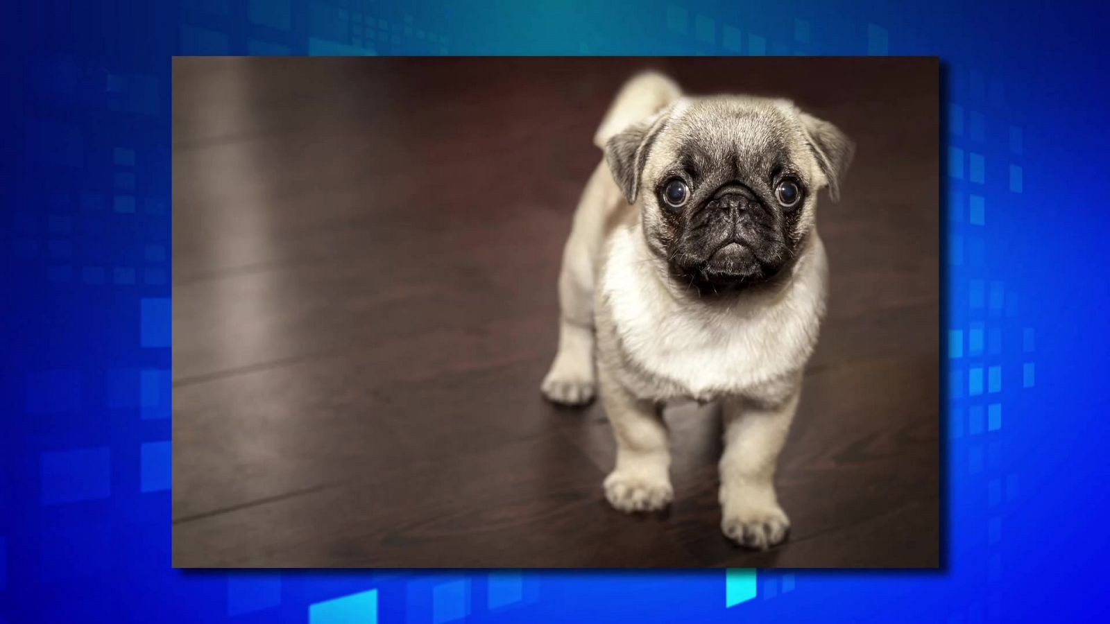 Saber y ganar - 24/11/23 - ver ahora