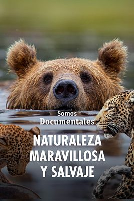 Somos Documentales - Naturaleza maravillosa y salvaje