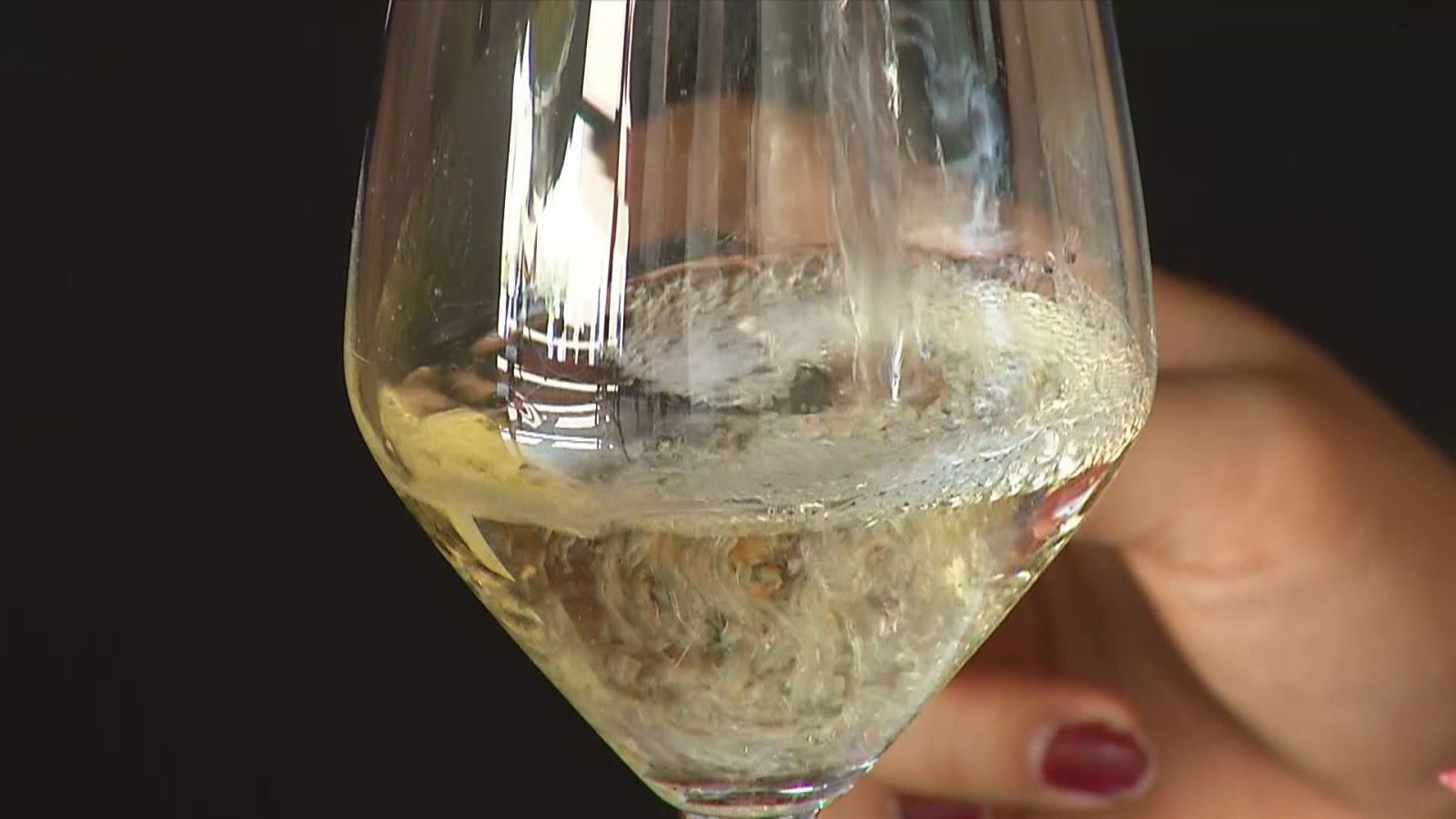 Agrosfera - 25/11/23 - ver ahora