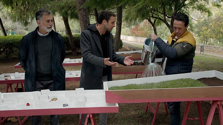 Curioseando - La importancia de la vegetación en las ciudades