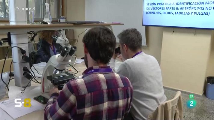 Somos 8 - Somos 8 - 27/11/2023