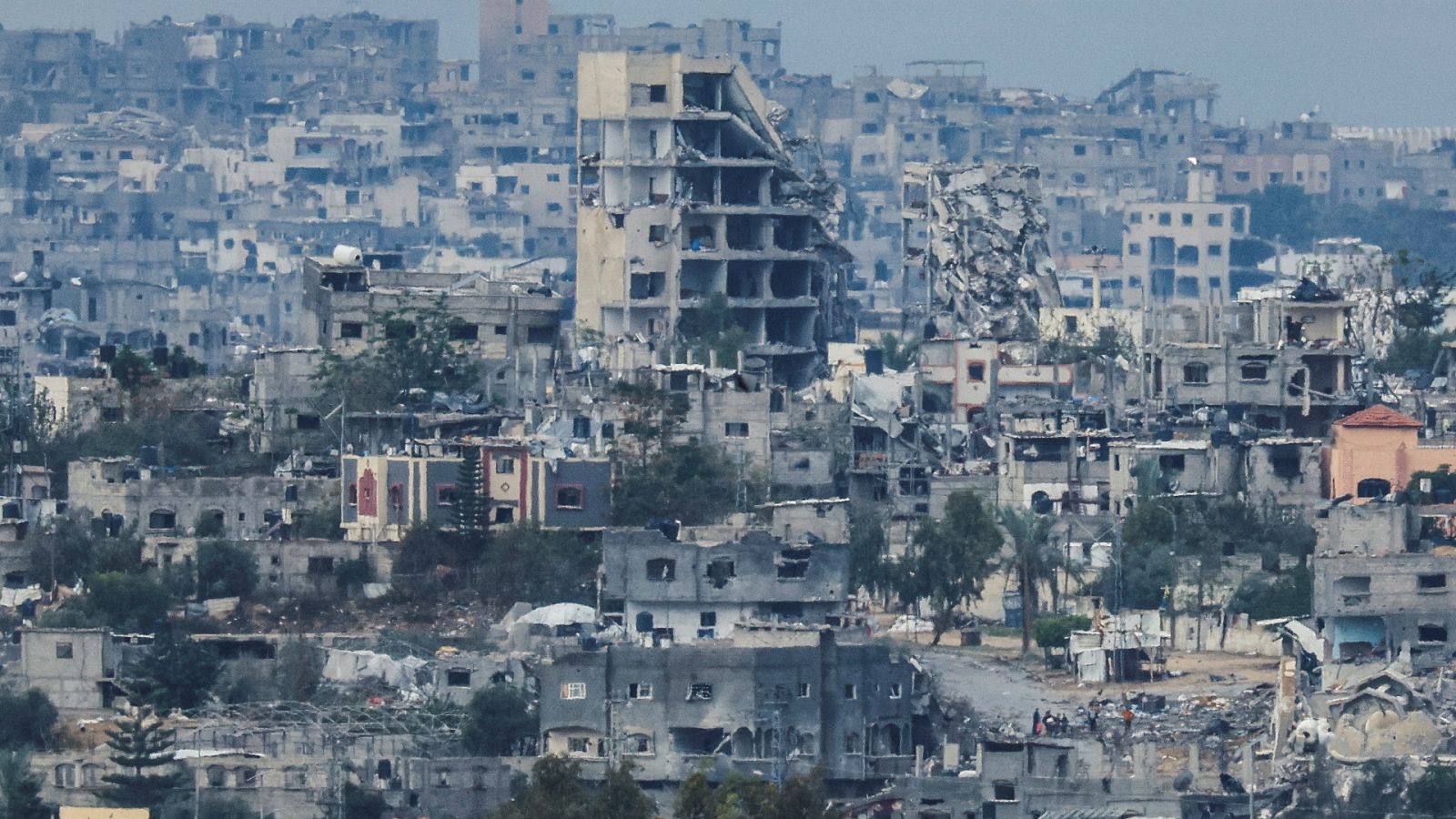 Diario 24 - 28/11/23 - ver ahora