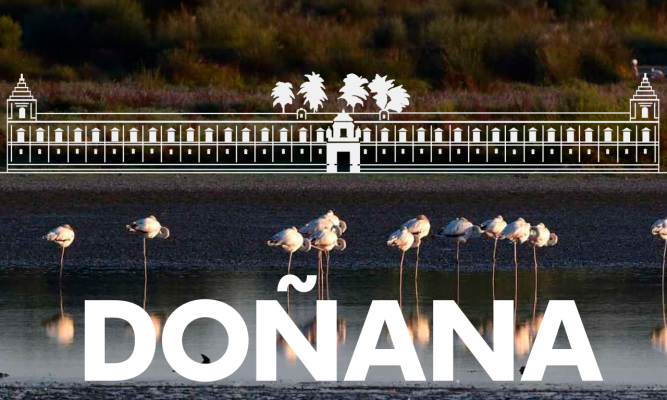 Noticias Andalucía - Acuerdo sobre Doñana