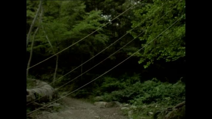 Metrópolis - Escuelas hacen Metrópolis